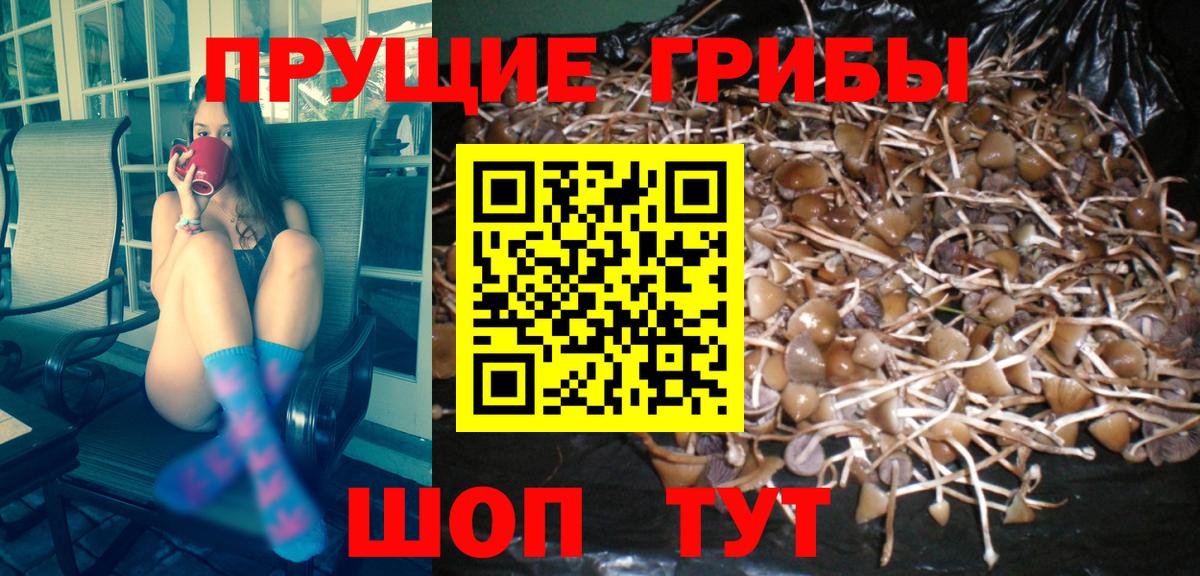 Псилоцибиновые грибы прущие грибы Донской
