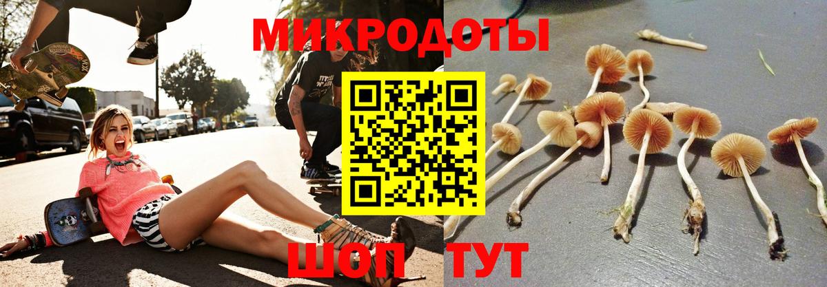 Галлюциногенные грибы Magic Shrooms  Вход с VPN  Донской  Псилоцибиновые грибы Magic Shrooms 